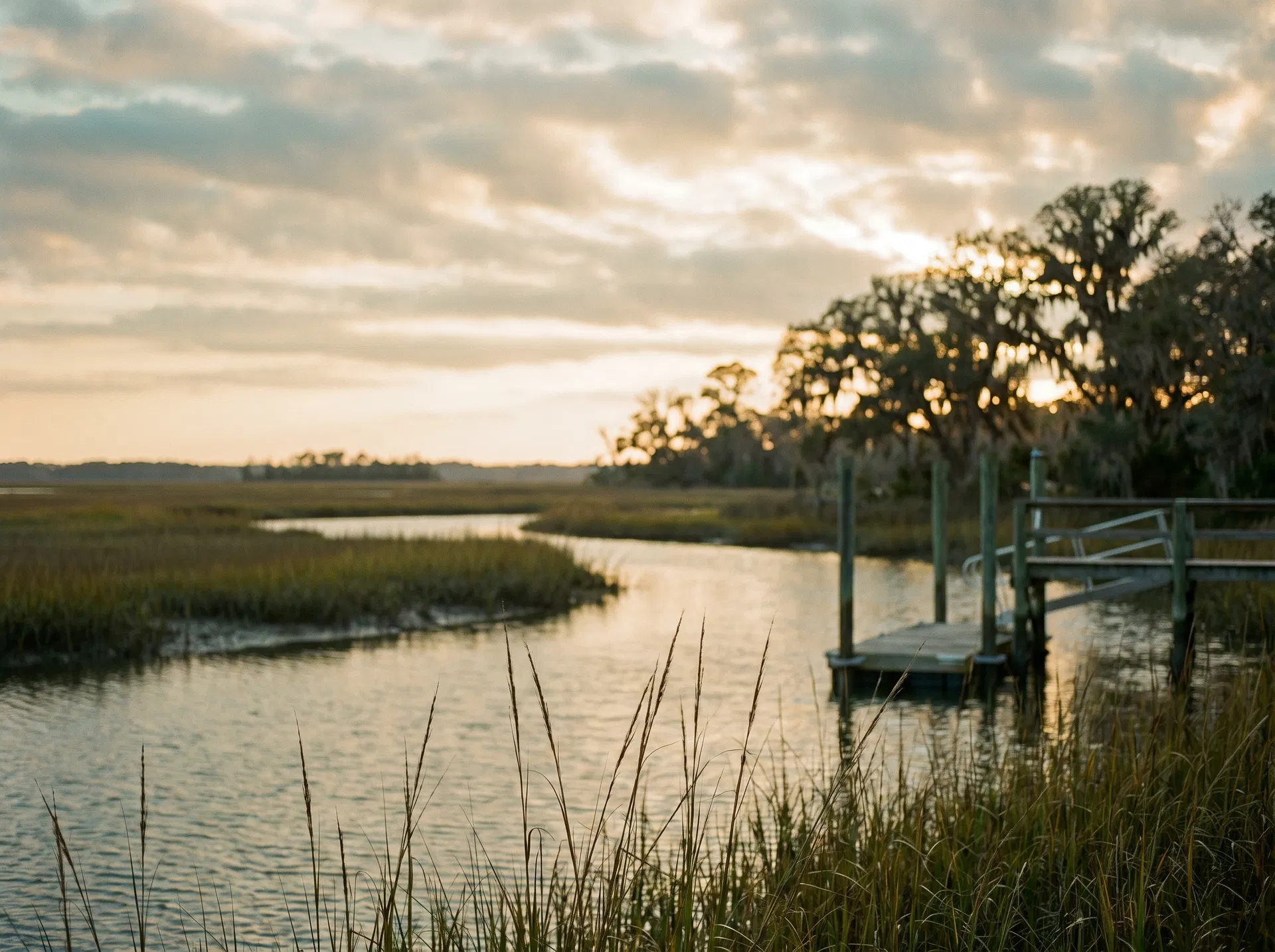 Lowcountry tidal marsh at golden hour, South Carolina