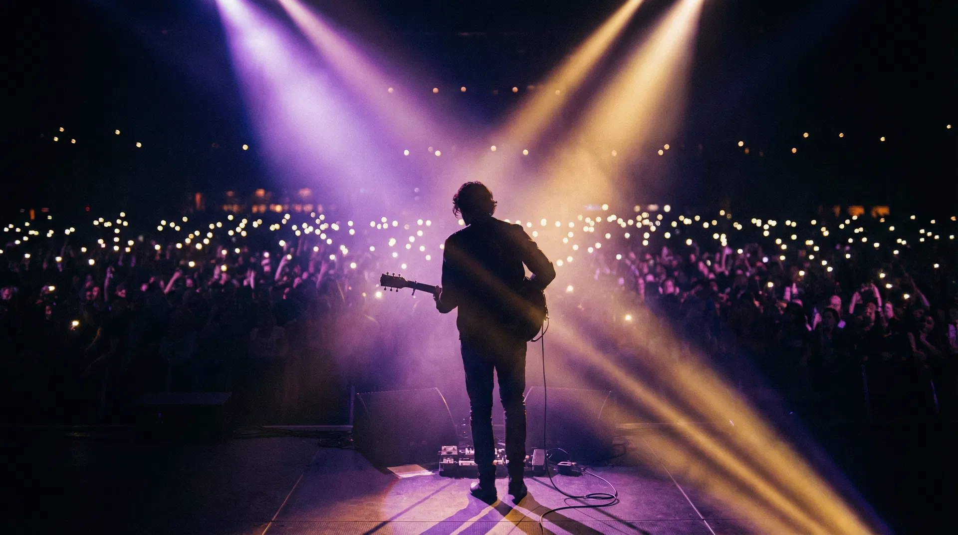 Artist performing on stage