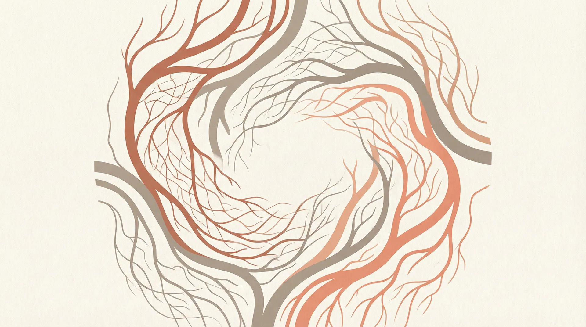 Abstract vascular anatomy illustration
