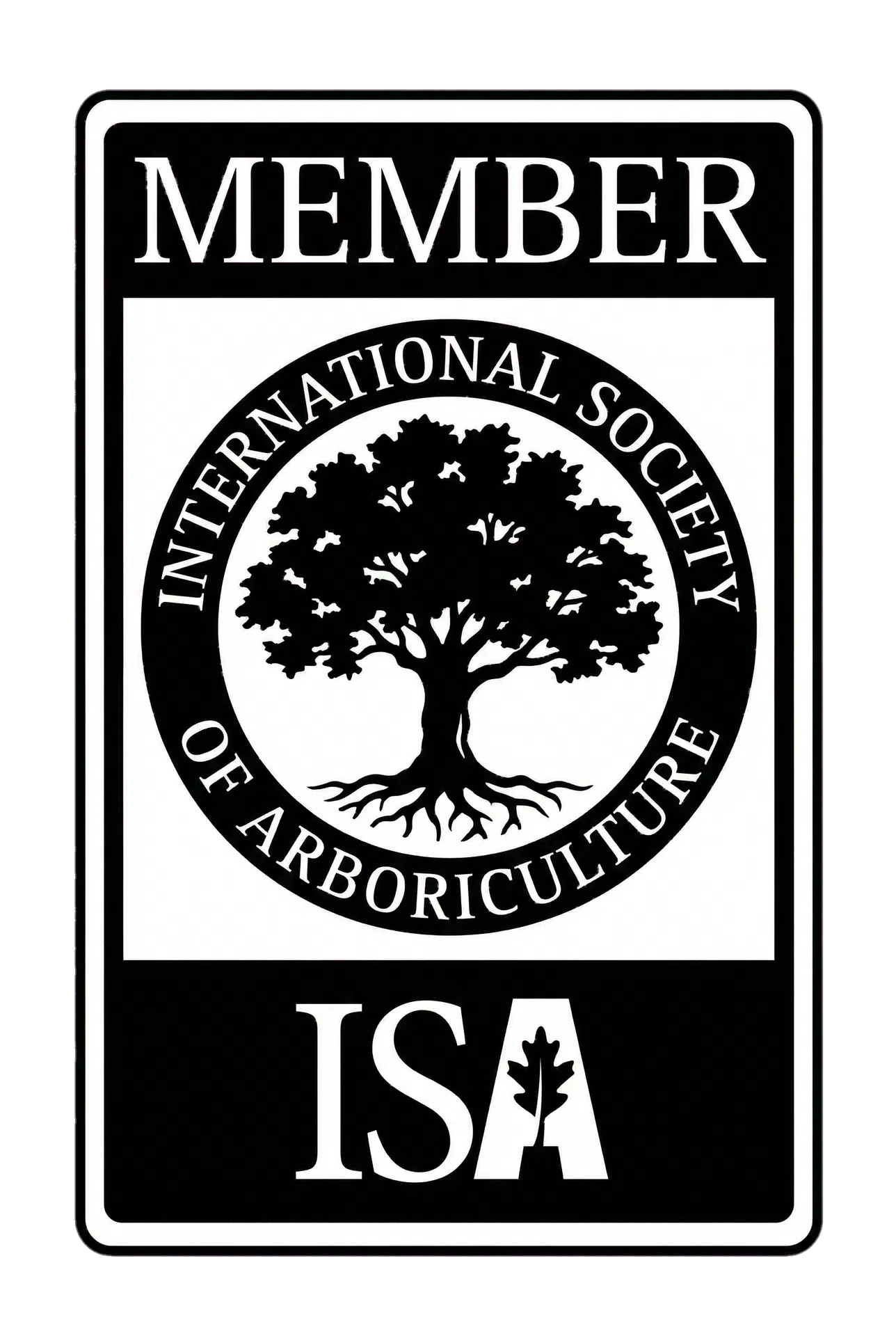 ISA Member