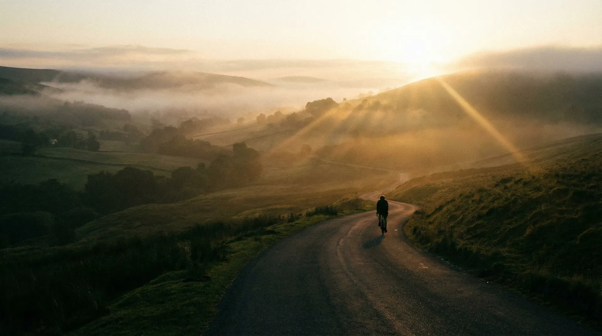 Zone 2 Running: The Complete Guide