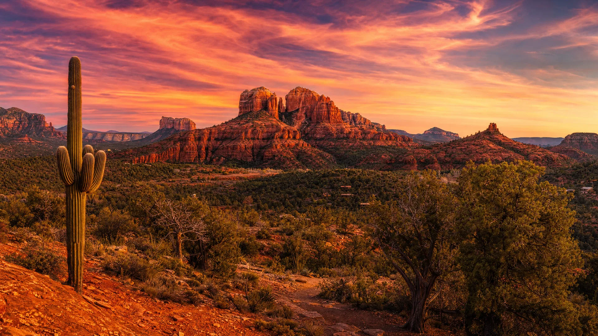 Desert & Southwest