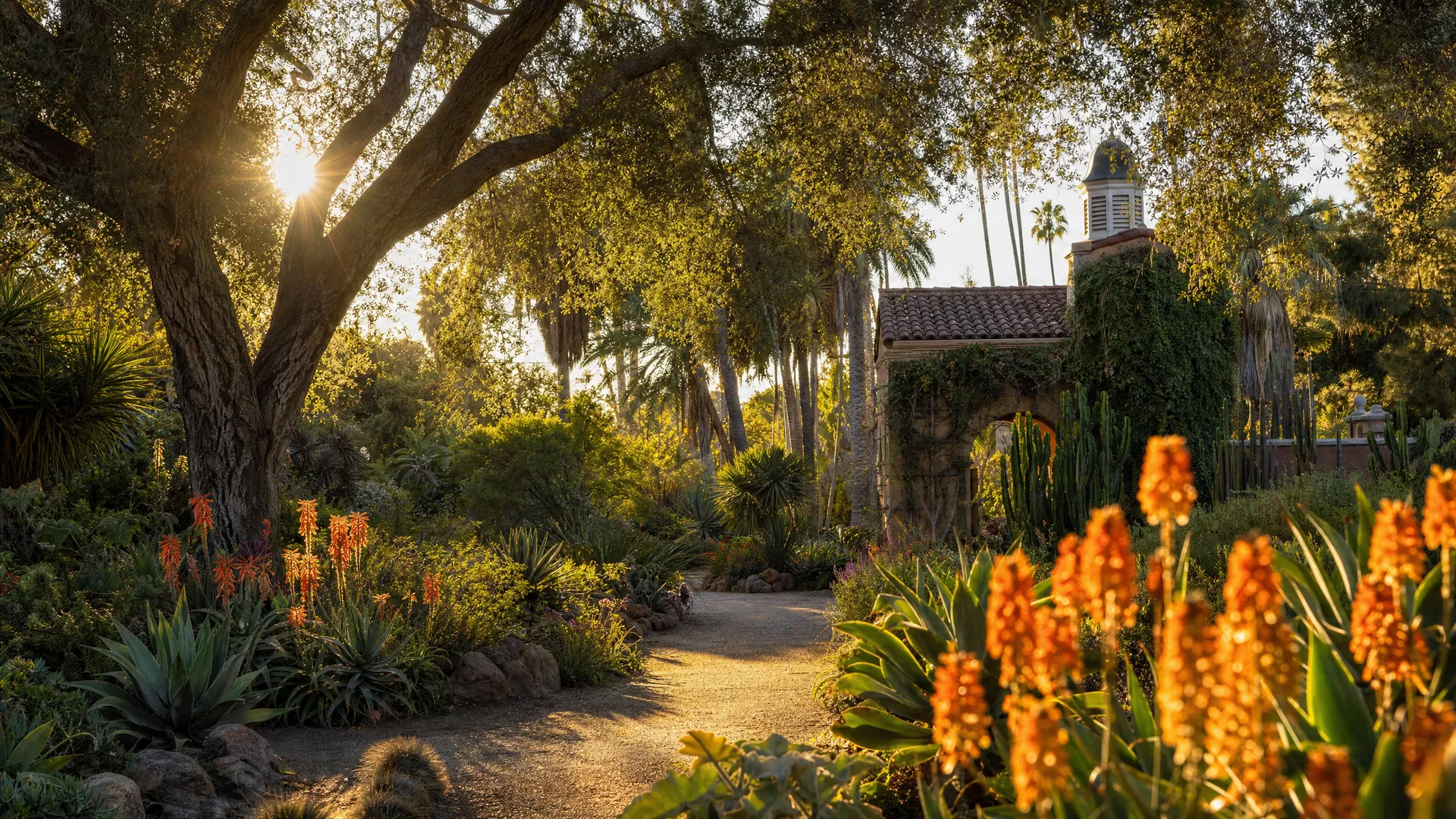 Lush botanical garden path at golden hour