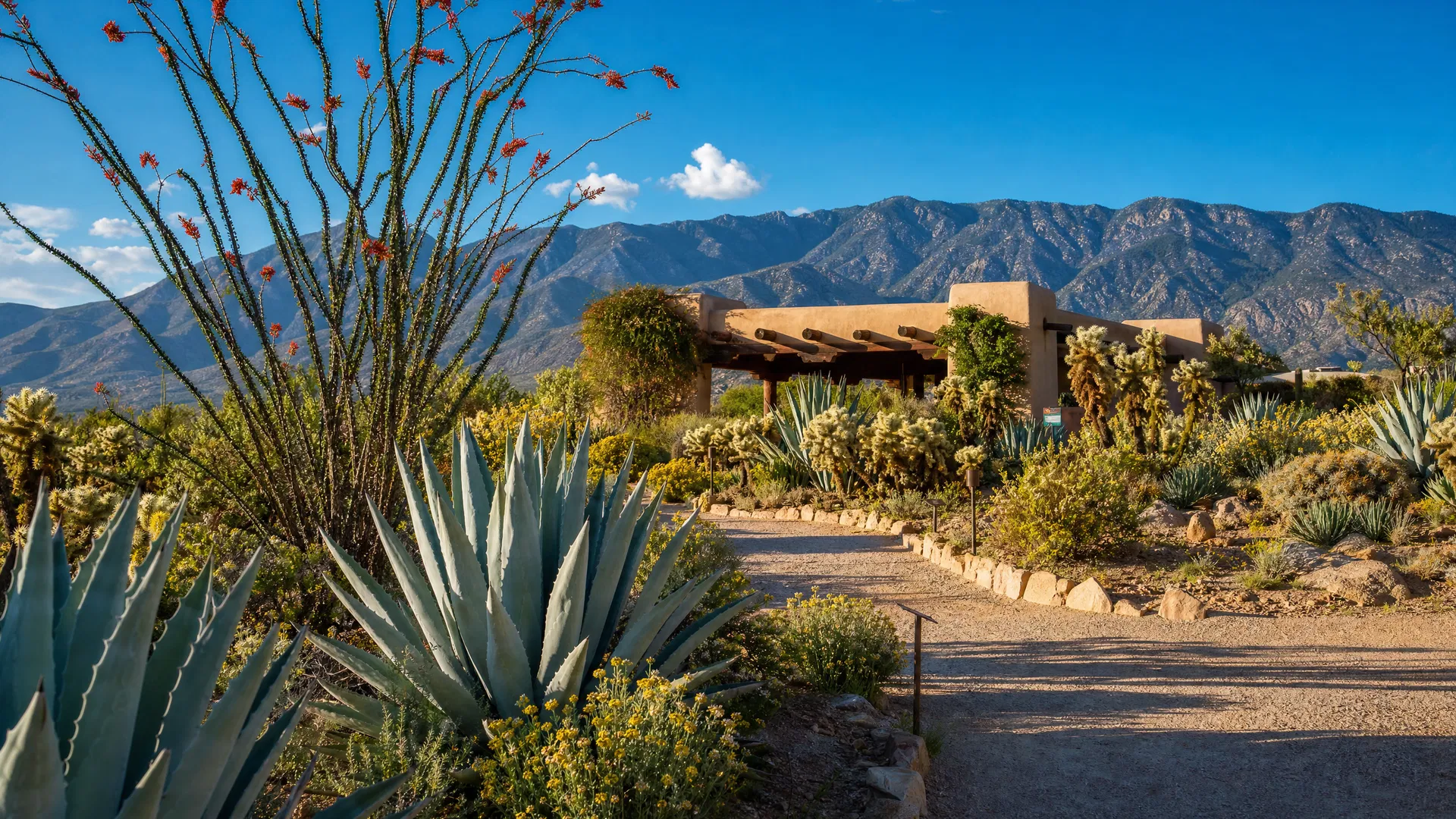 ABQ BioPark Botanic Garden entrance with vibrant desert flora