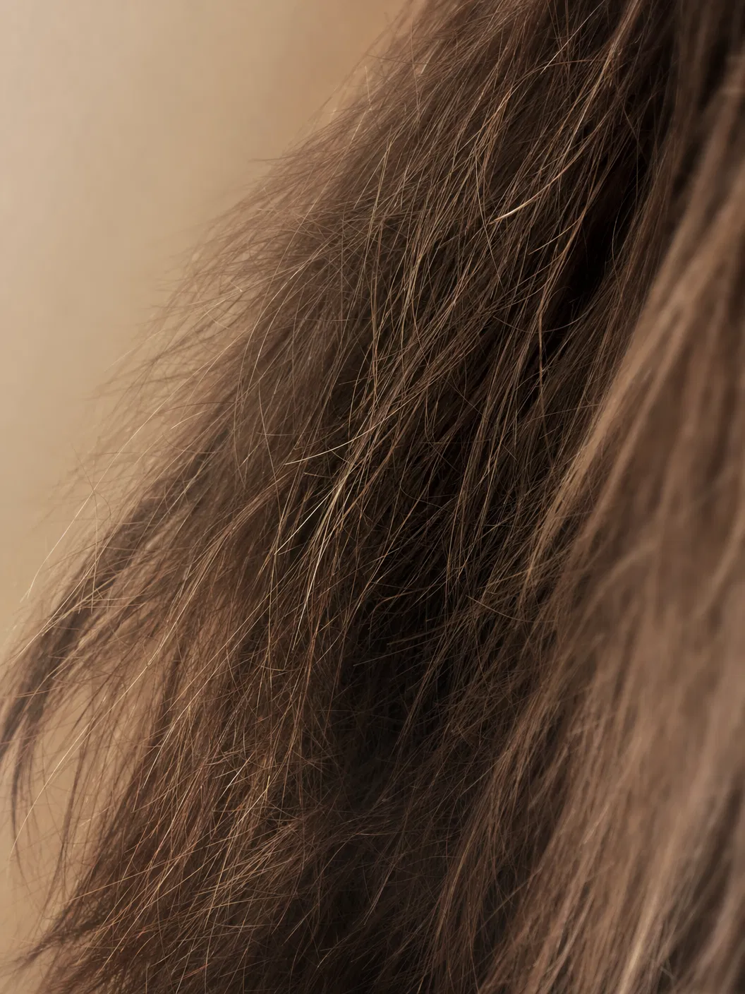 Beschadigd, droog haar door productophoping
