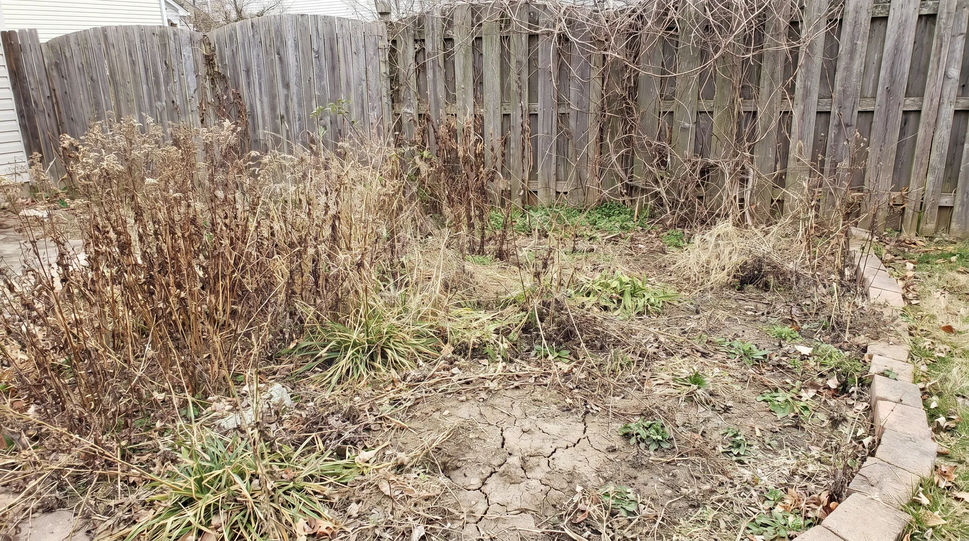 Flower Bed Transformation - Before