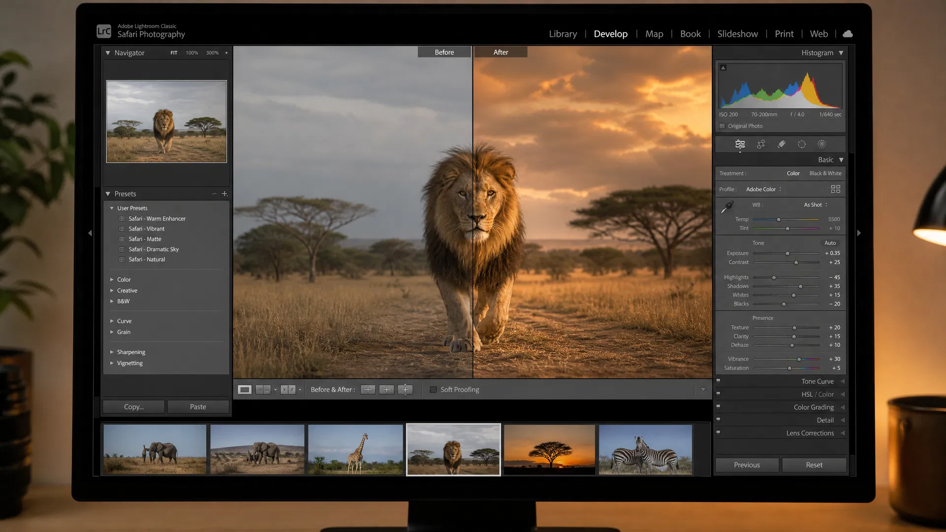 Post-Processing Safari Photos in Lightroom