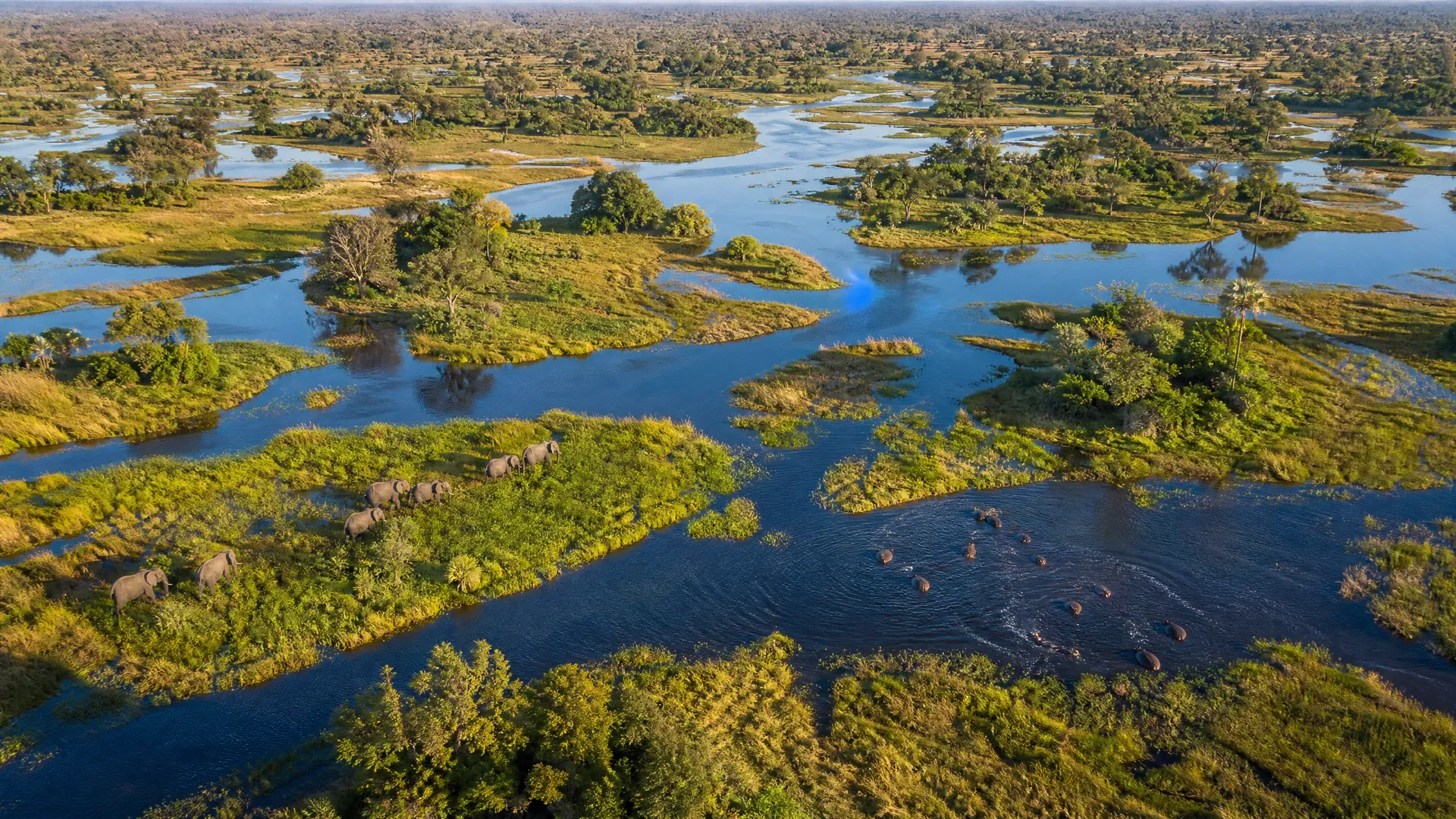 The Okavango Delta: Africa's most pristine wilderness