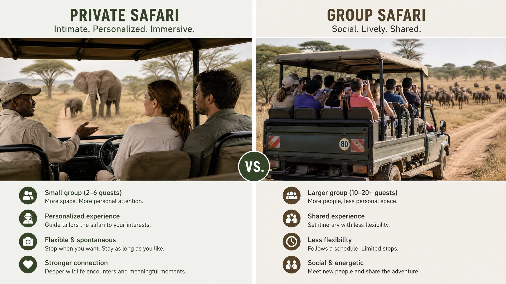 Private vs group safaris: Which experience is right for you?