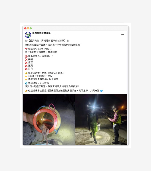 澎湖特有種章魚禁漁期 (澎湖縣政府農漁局廣告)