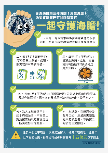 一起守護海膽 (澎湖縣政府農漁局廣告)
