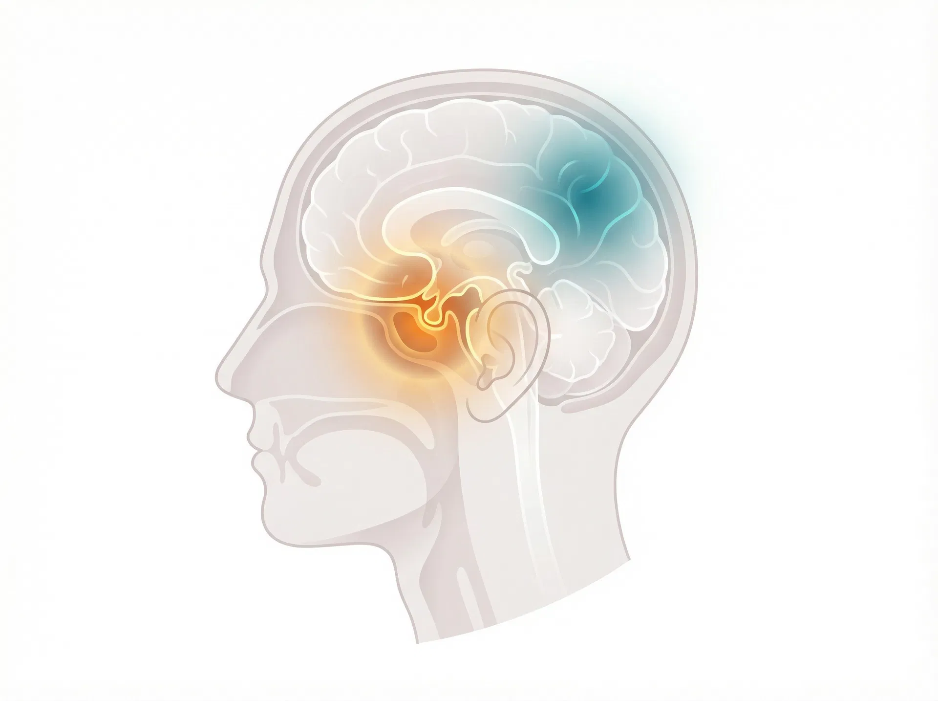 Brain illustration showing overactive auditory cortex