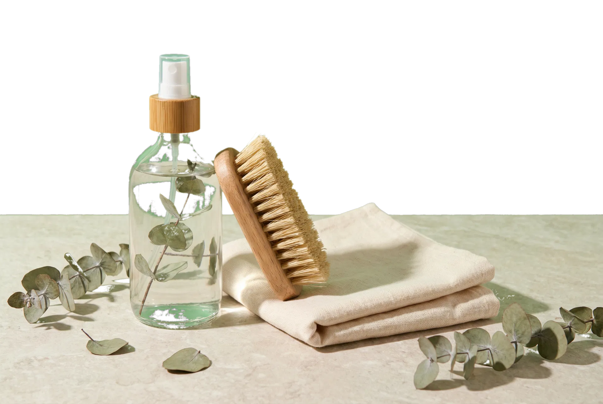 Cleaning tools, bottle, brush, and cloth arranged on a fresh clean surface