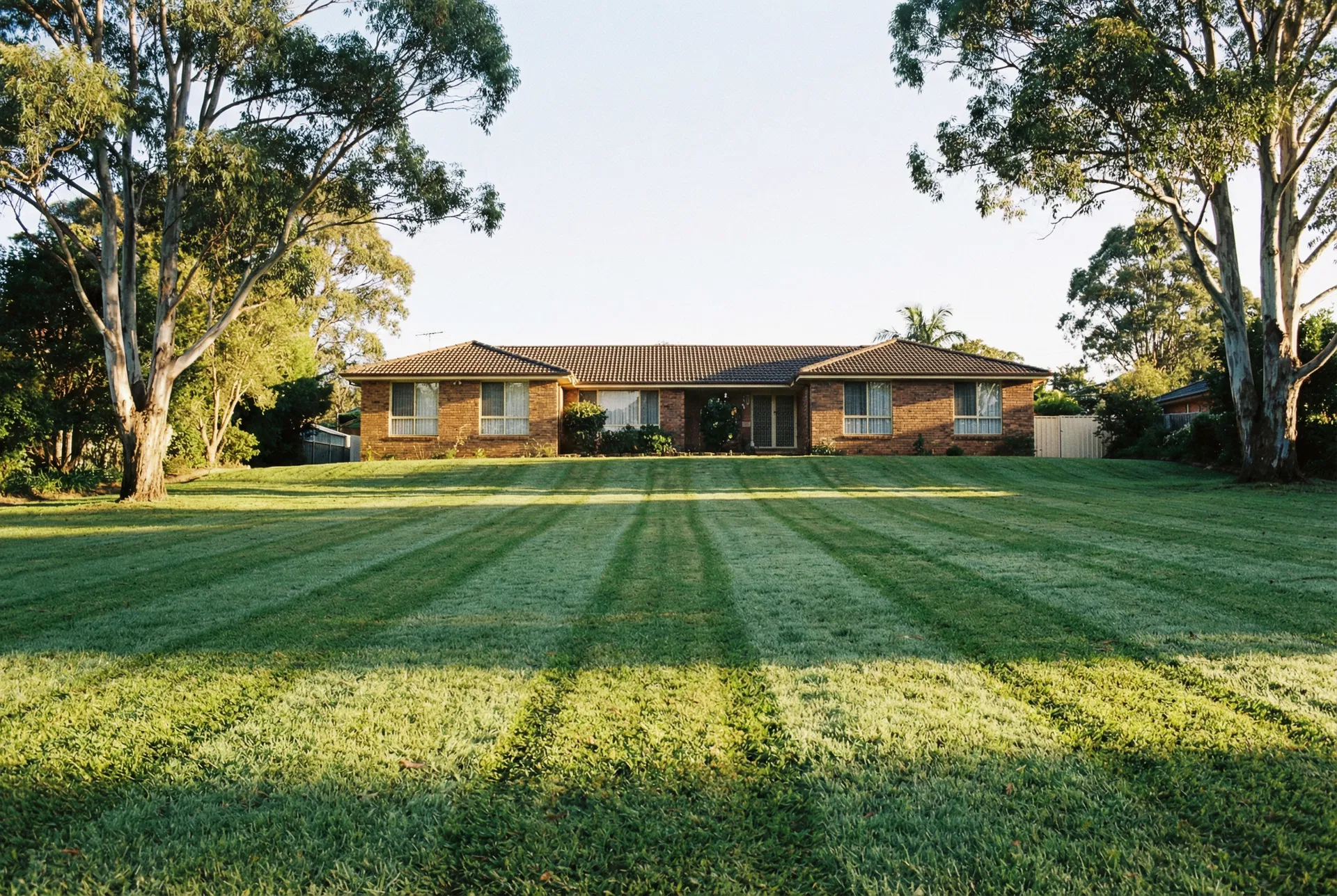 How Often Should You Mow Your Lawn in Sydney?