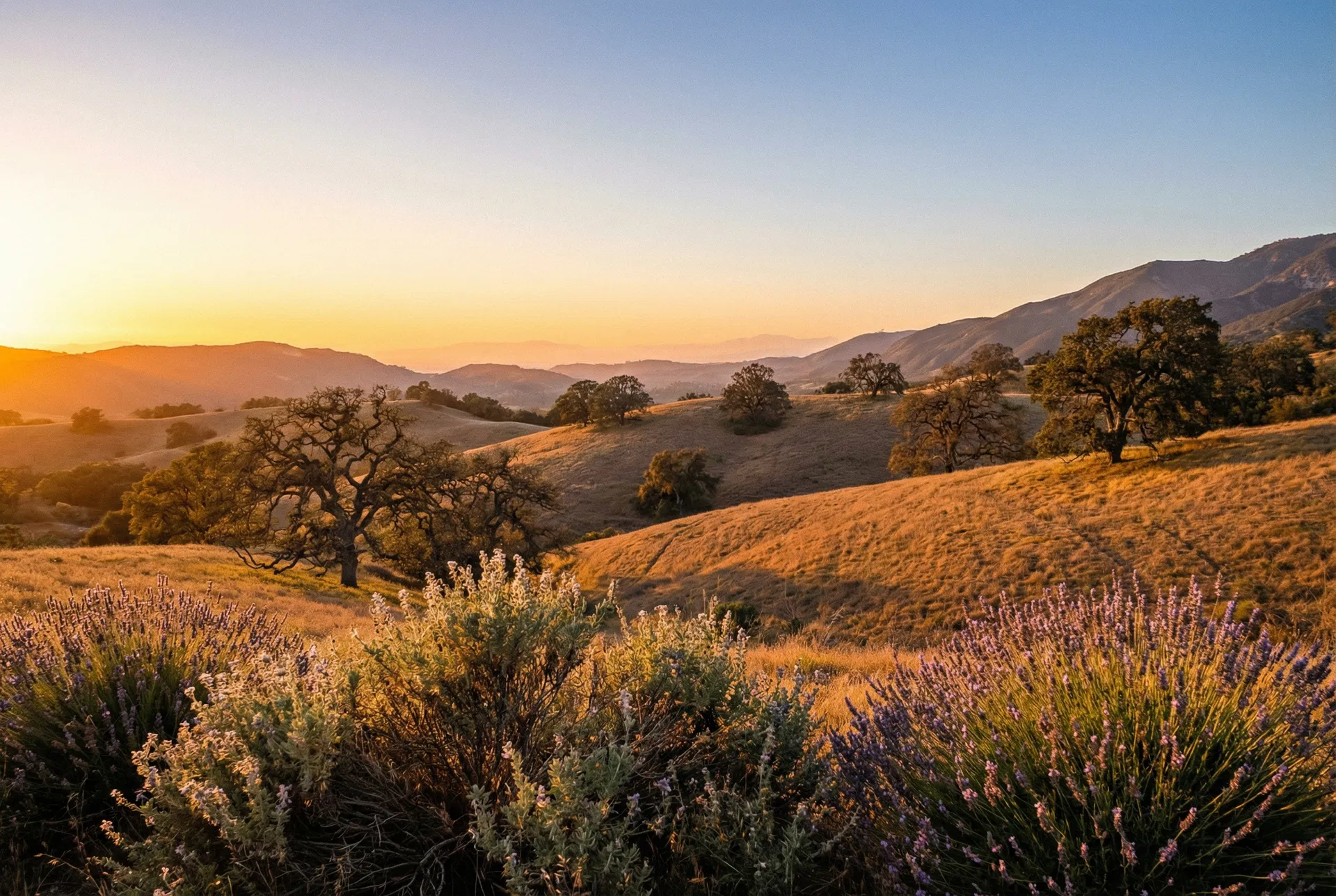 Ojai Valley at golden hour