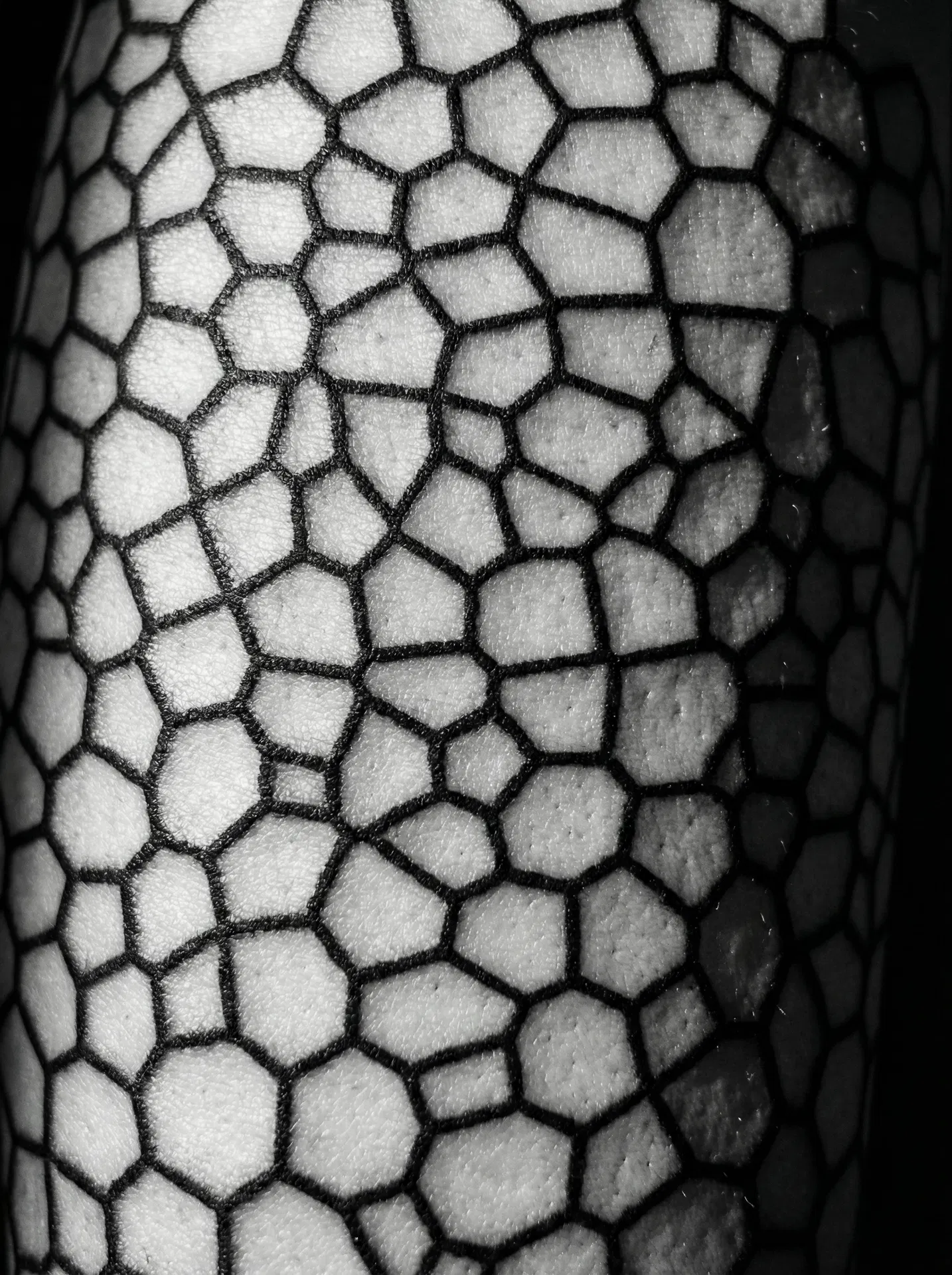 BLACKWORK tattoo — FULL LEG