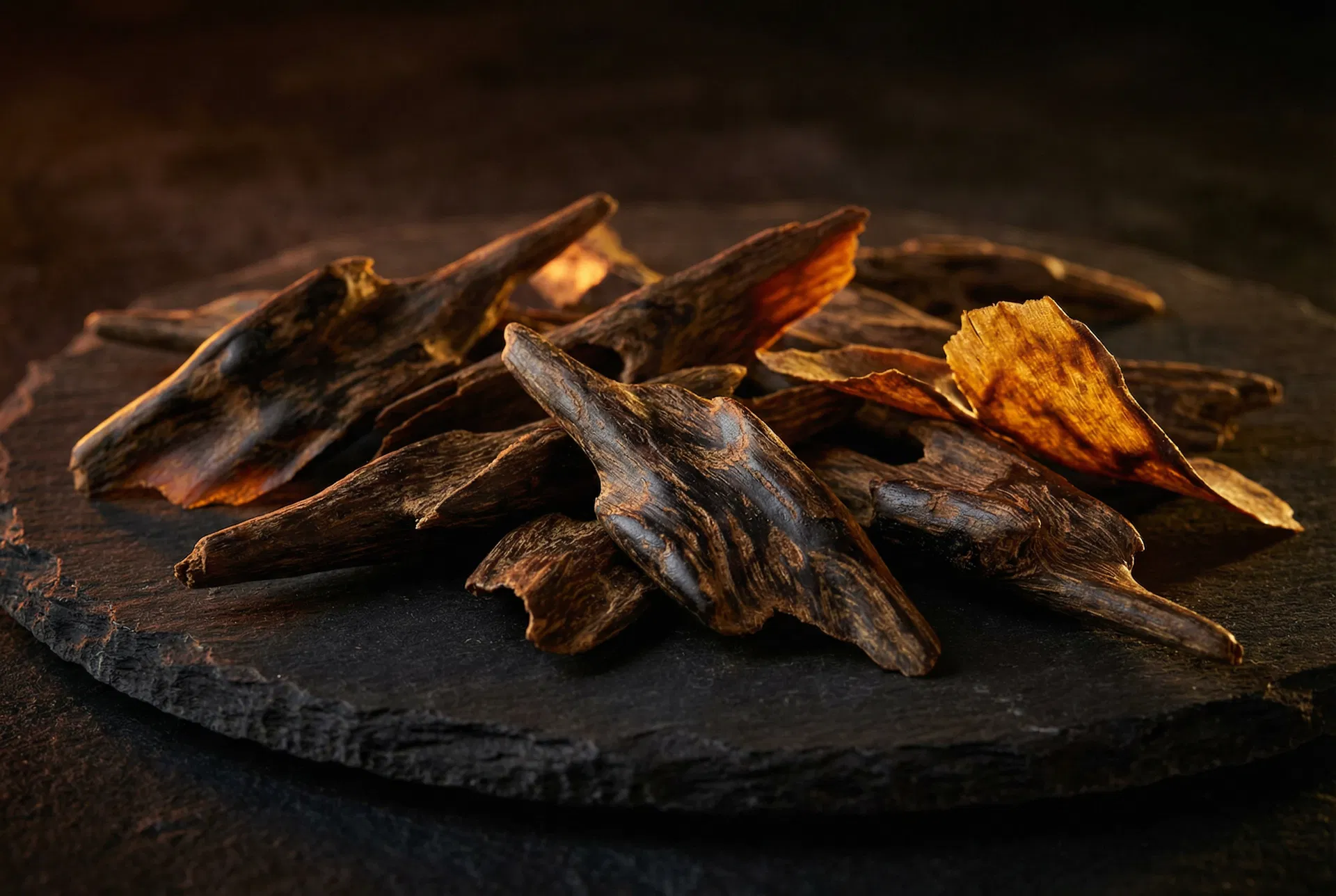 Premium agarwood chips — the source of authentic oud