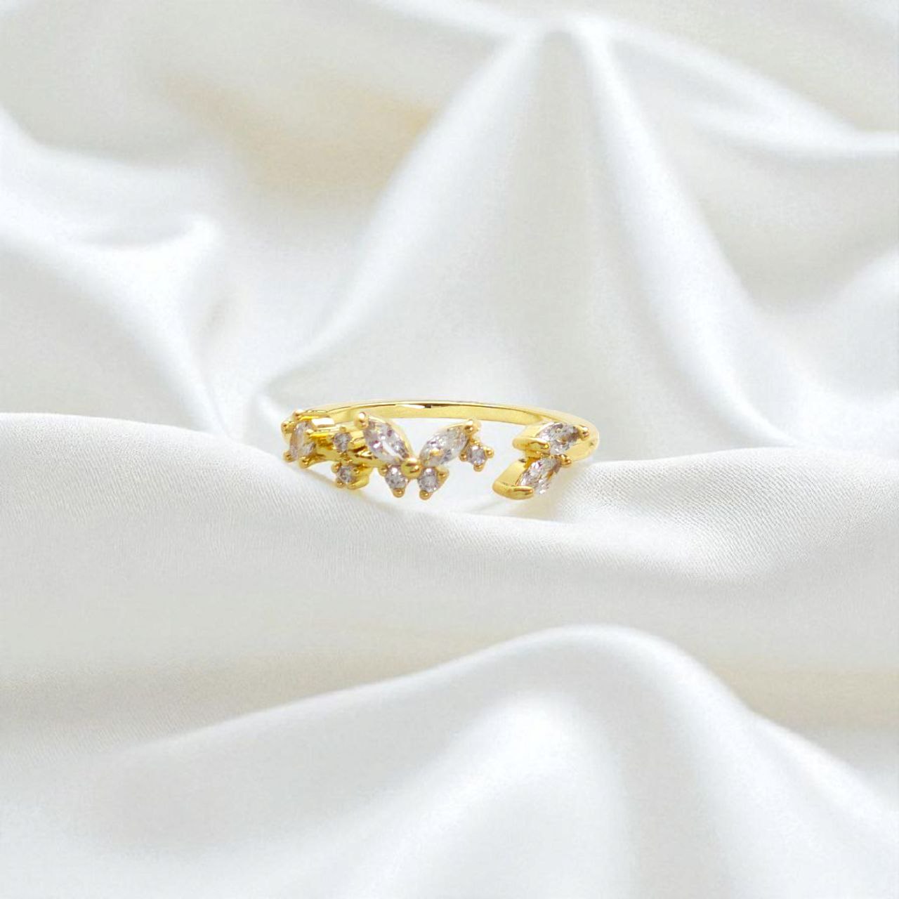 Anillo coreano golfi