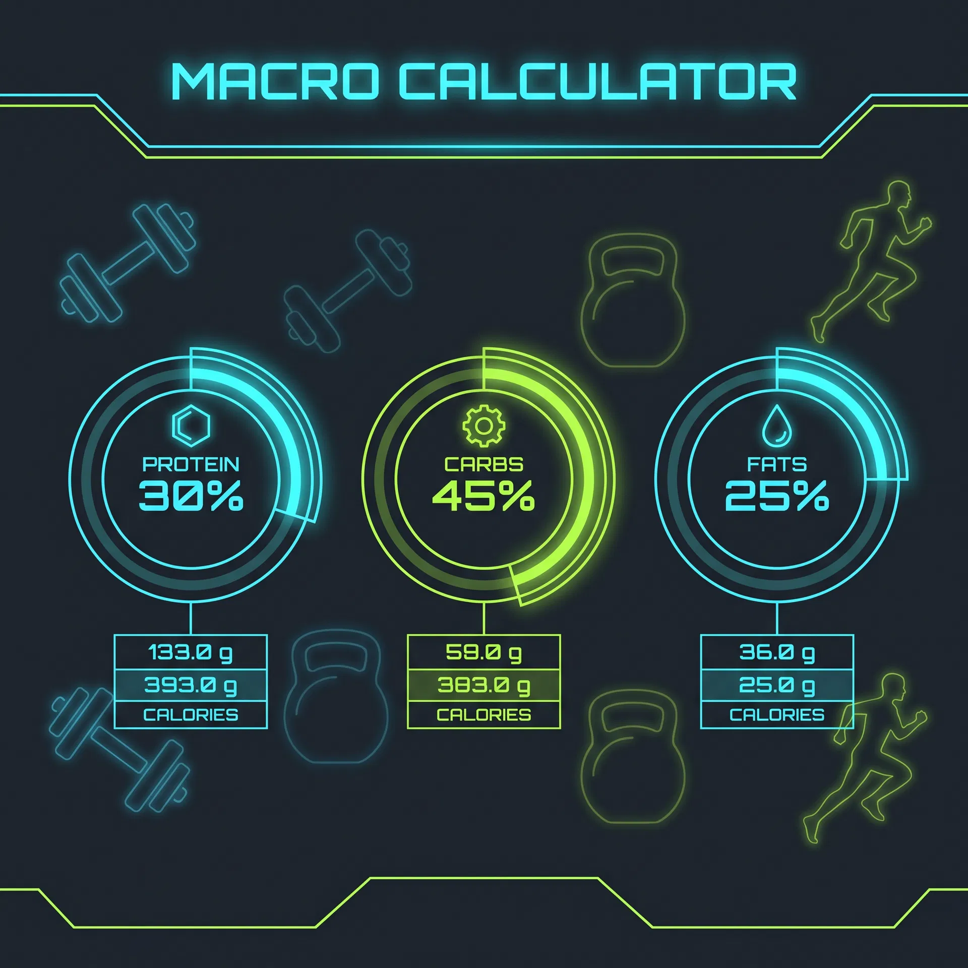 Macro calculator visualization