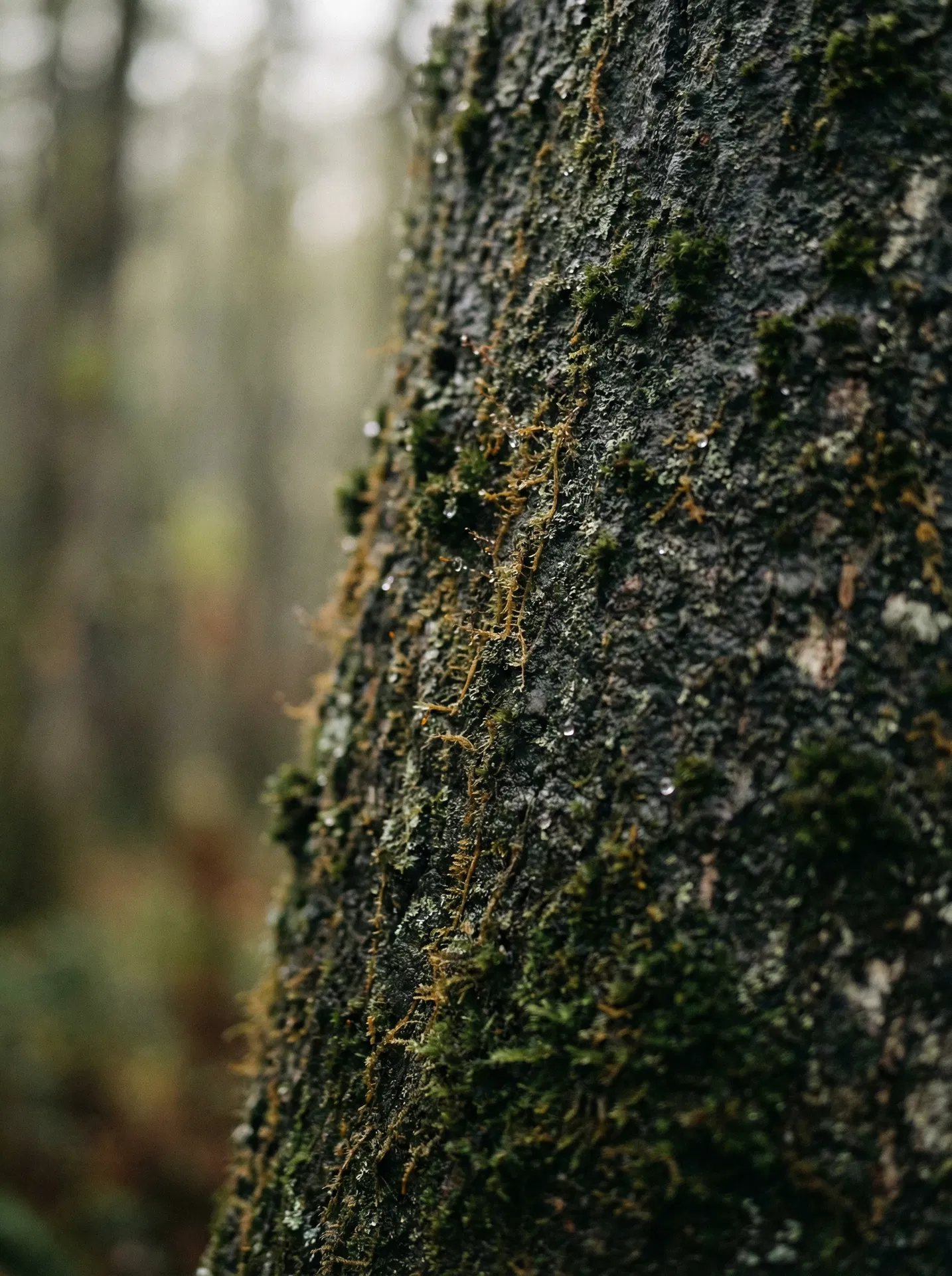 Executive discussion in boardroom