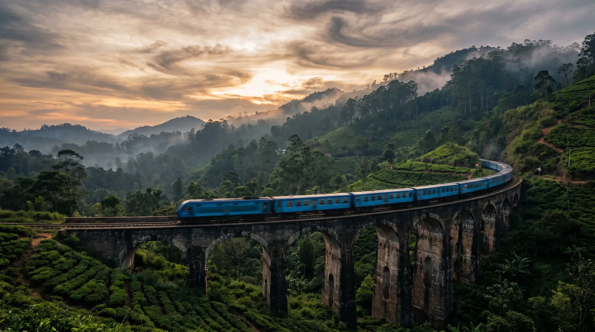 TEA TRAIN