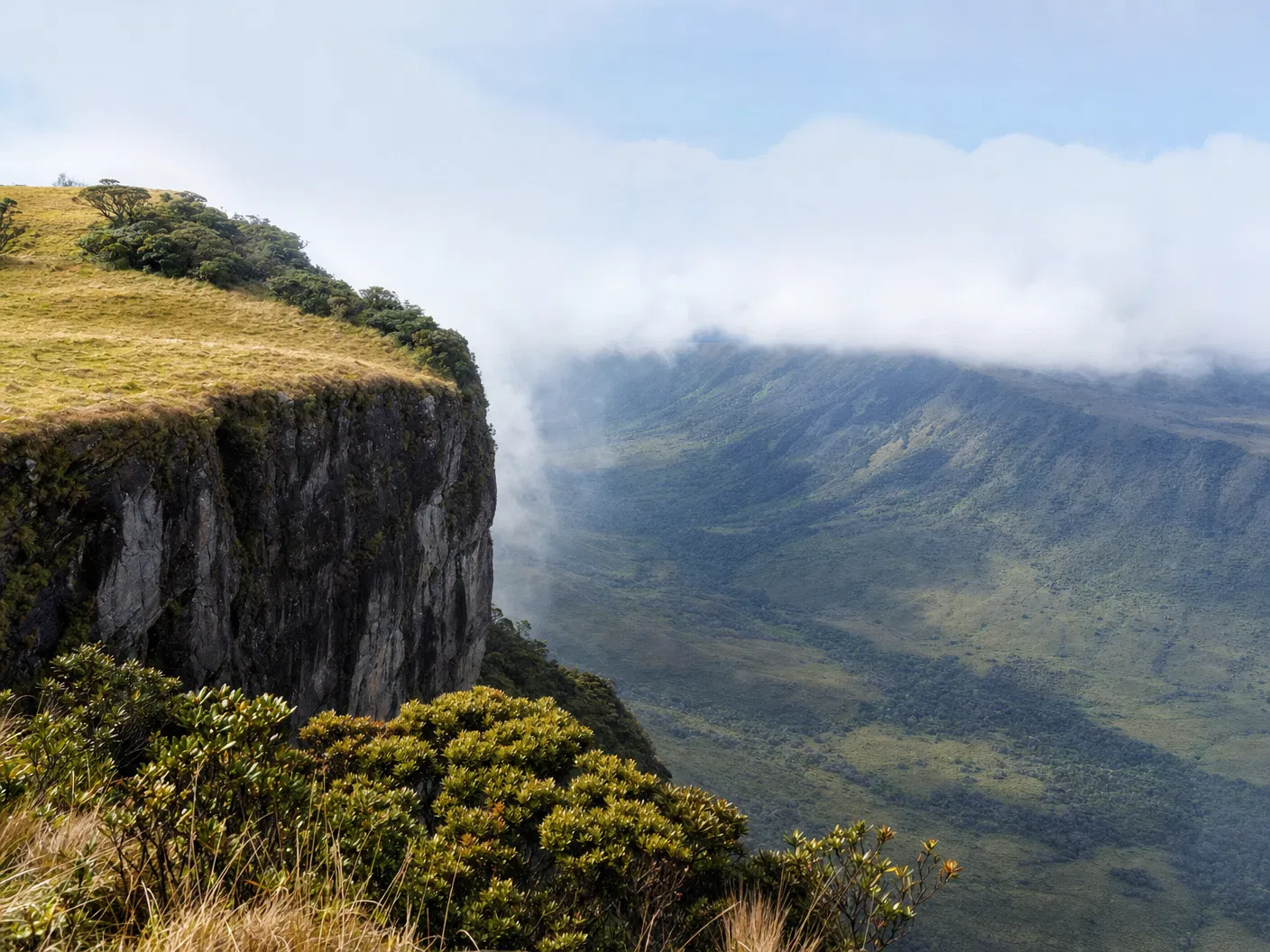 ホートンプレインズ国立公園（Horton Plains）