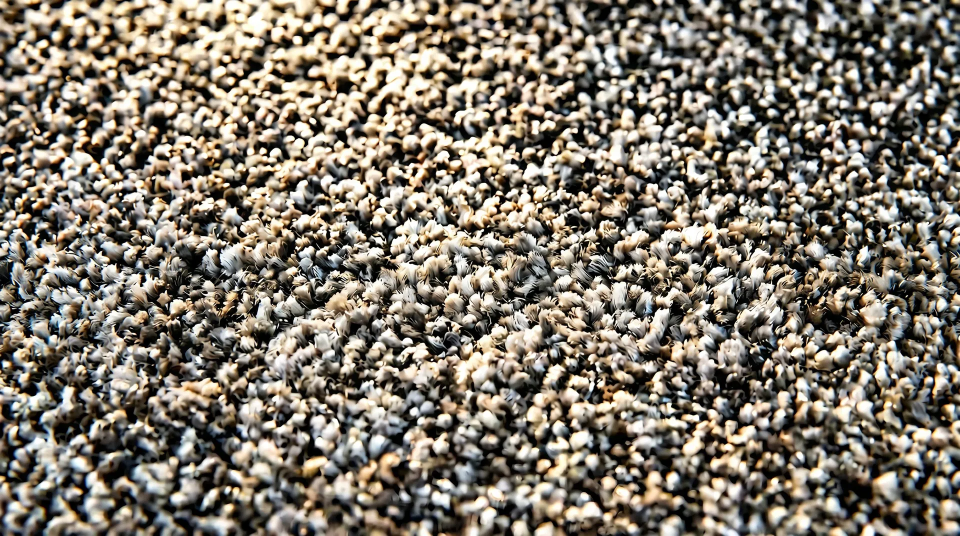 Yukon broadloom carpet