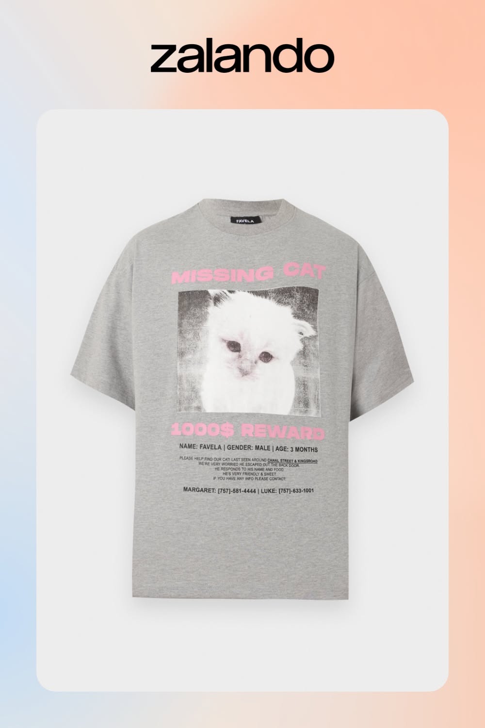 Favela Light Grey Melange T-shirt — Missing Cat Reward Poster Graphic