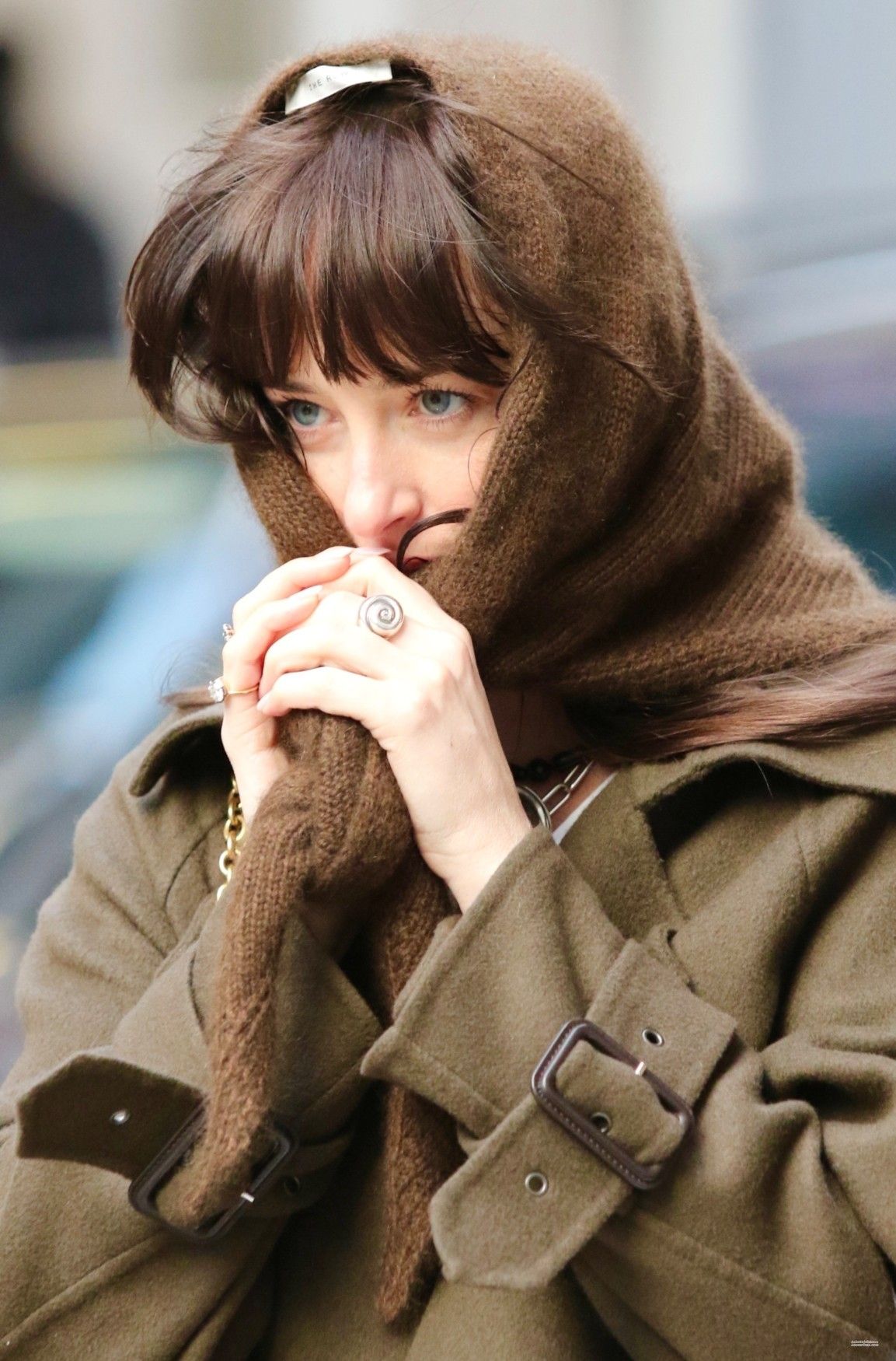 Dakota Johnson Brown Hooded Scarf — Hooded Scarf, Attached Hood