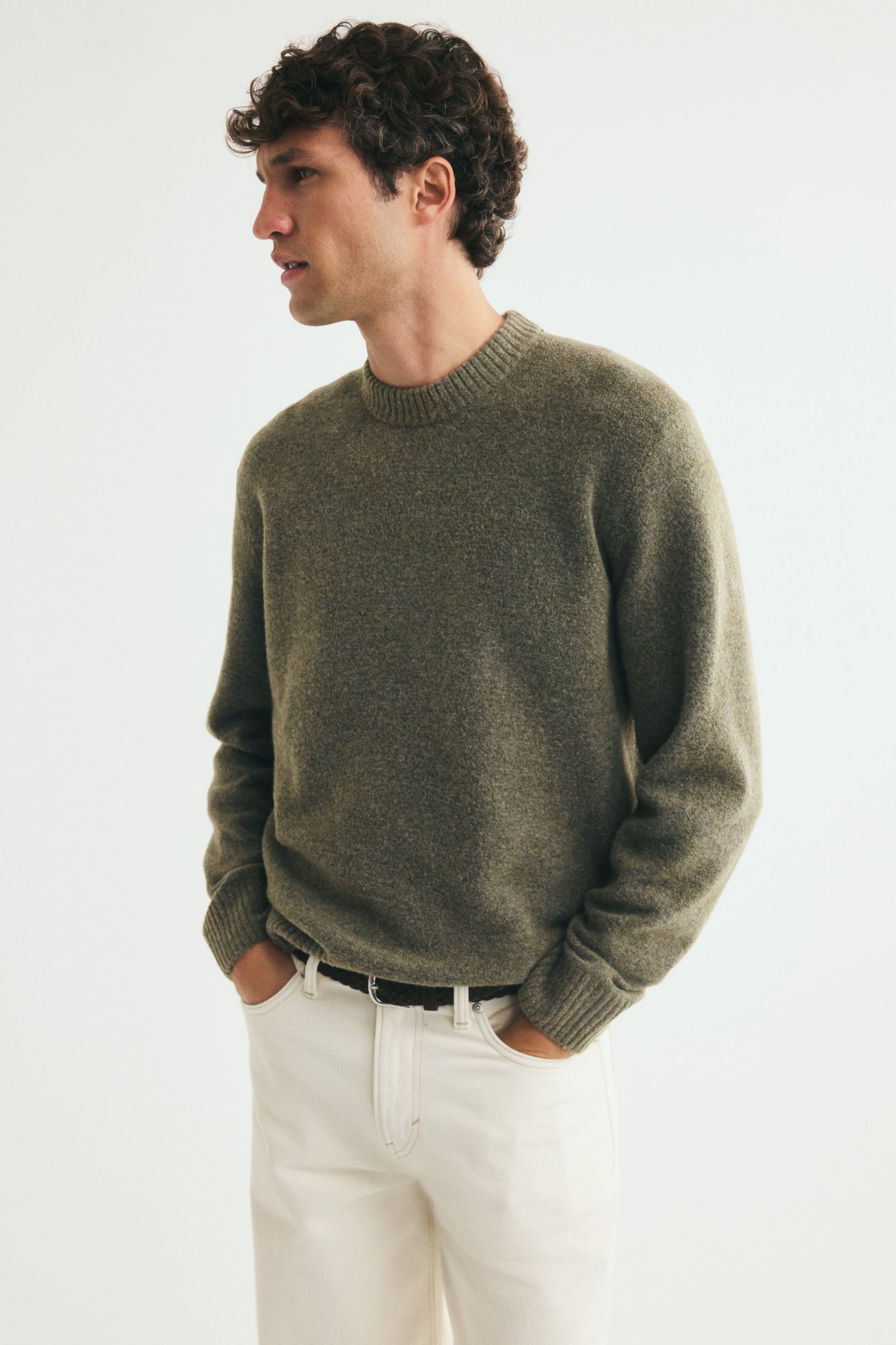 Regular-fit Brushed Sweater