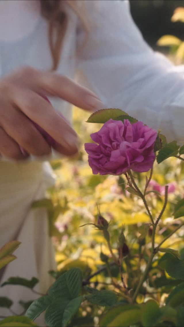 Dior White Linen Blouse
