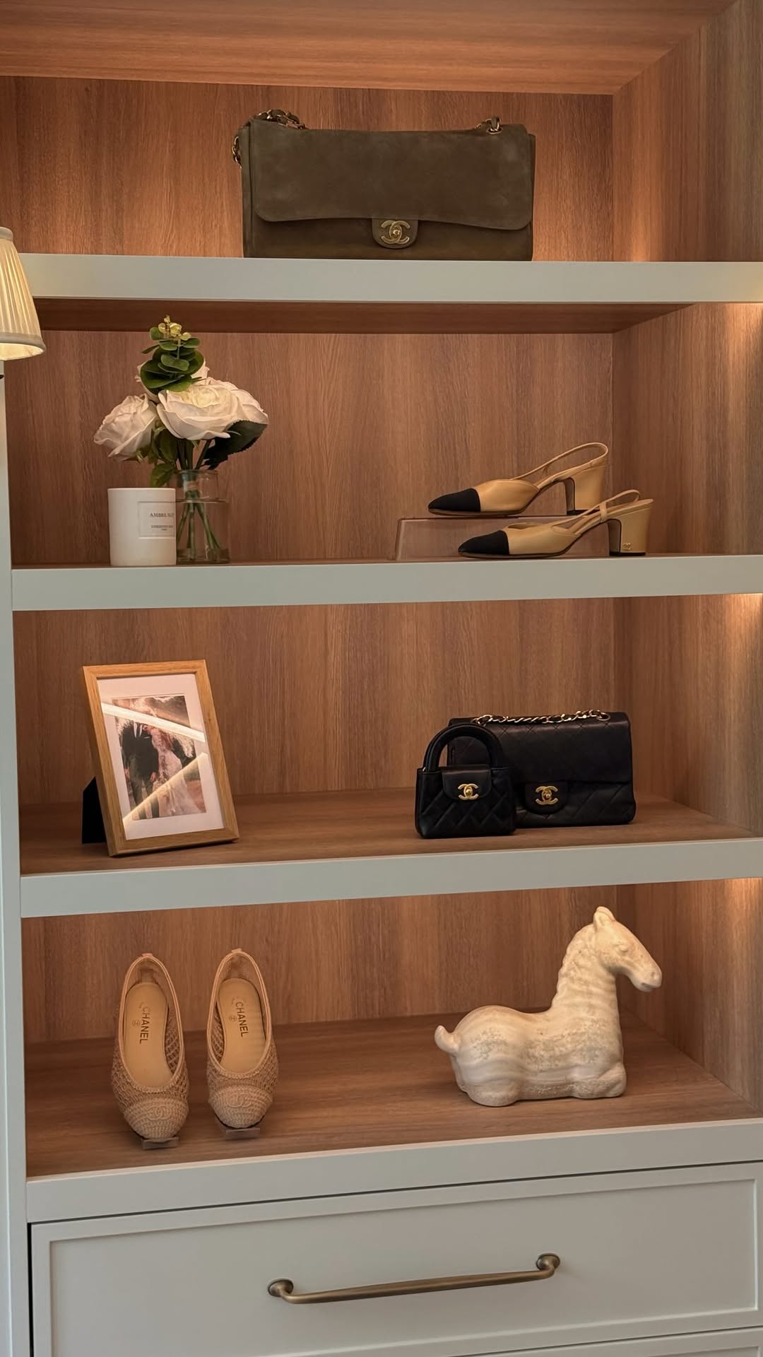 Chanel Luxury Handbags and Shoes Collection