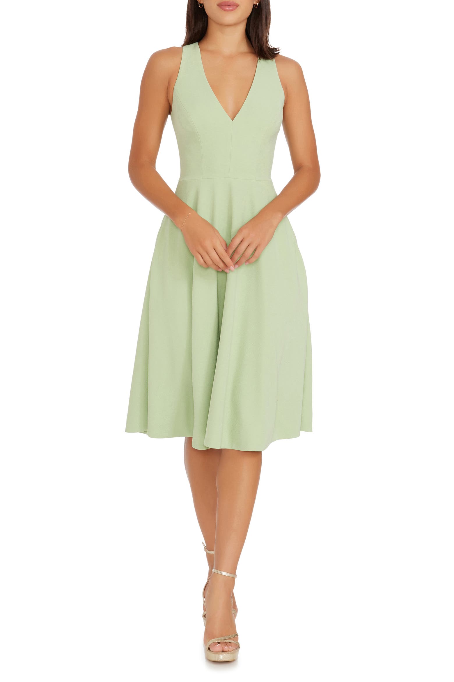 Dress the Population Catalina Fit & Flare Cocktail Dress