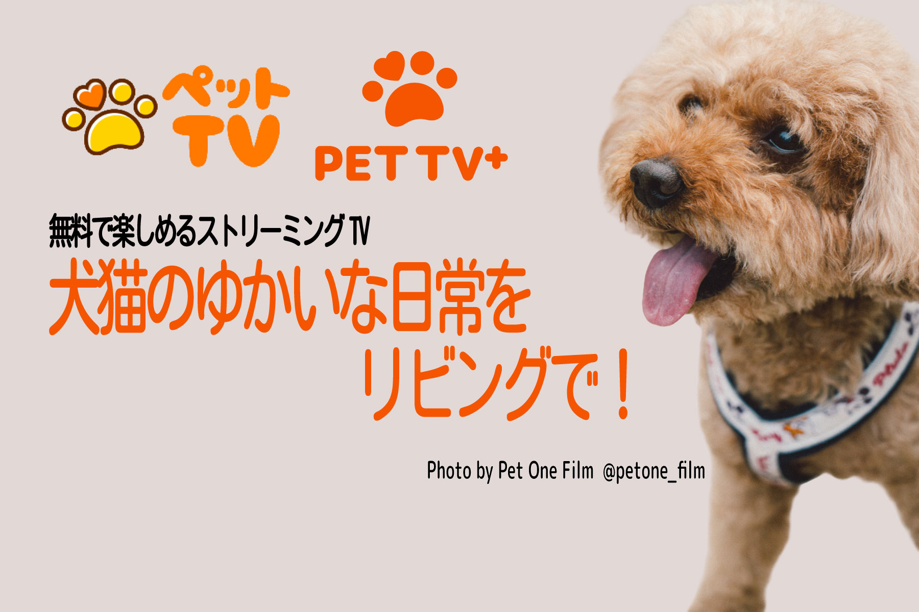 ペットTV | プリファードメディア