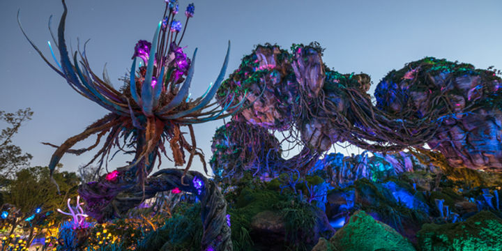 The Ultimate Guide to Exploring Disney’s Animal Kingdom in 2026