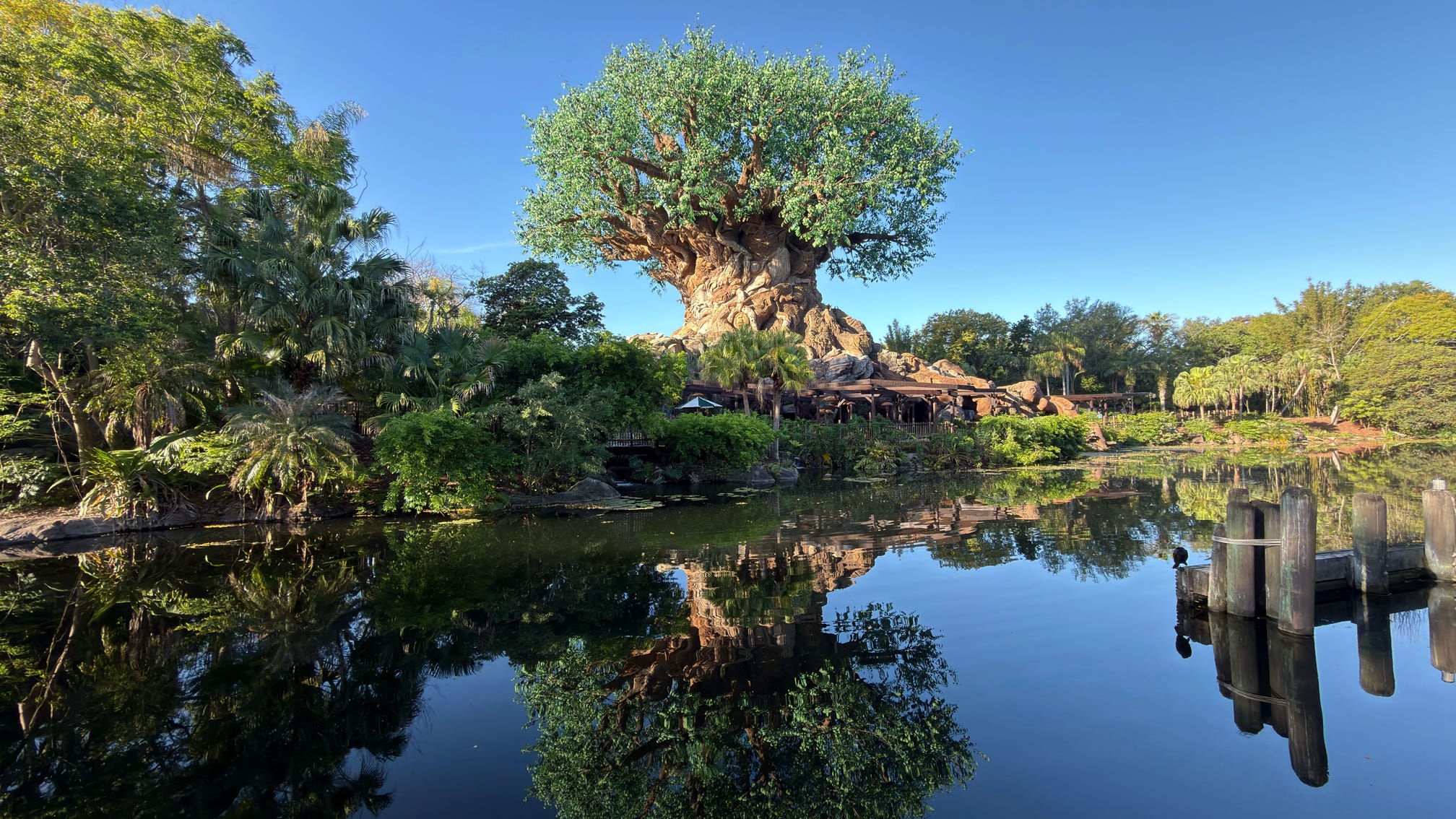 How Much Does a Disney World Trip Cost in 2026? (Real Numbers for a Family of 4)