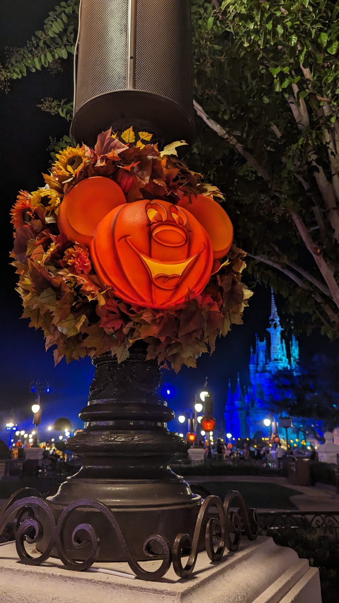 Mickey's Not-So-Scary Halloween Party 2026: Dates, Tickets, Entertainment, and Everything You Need to Know