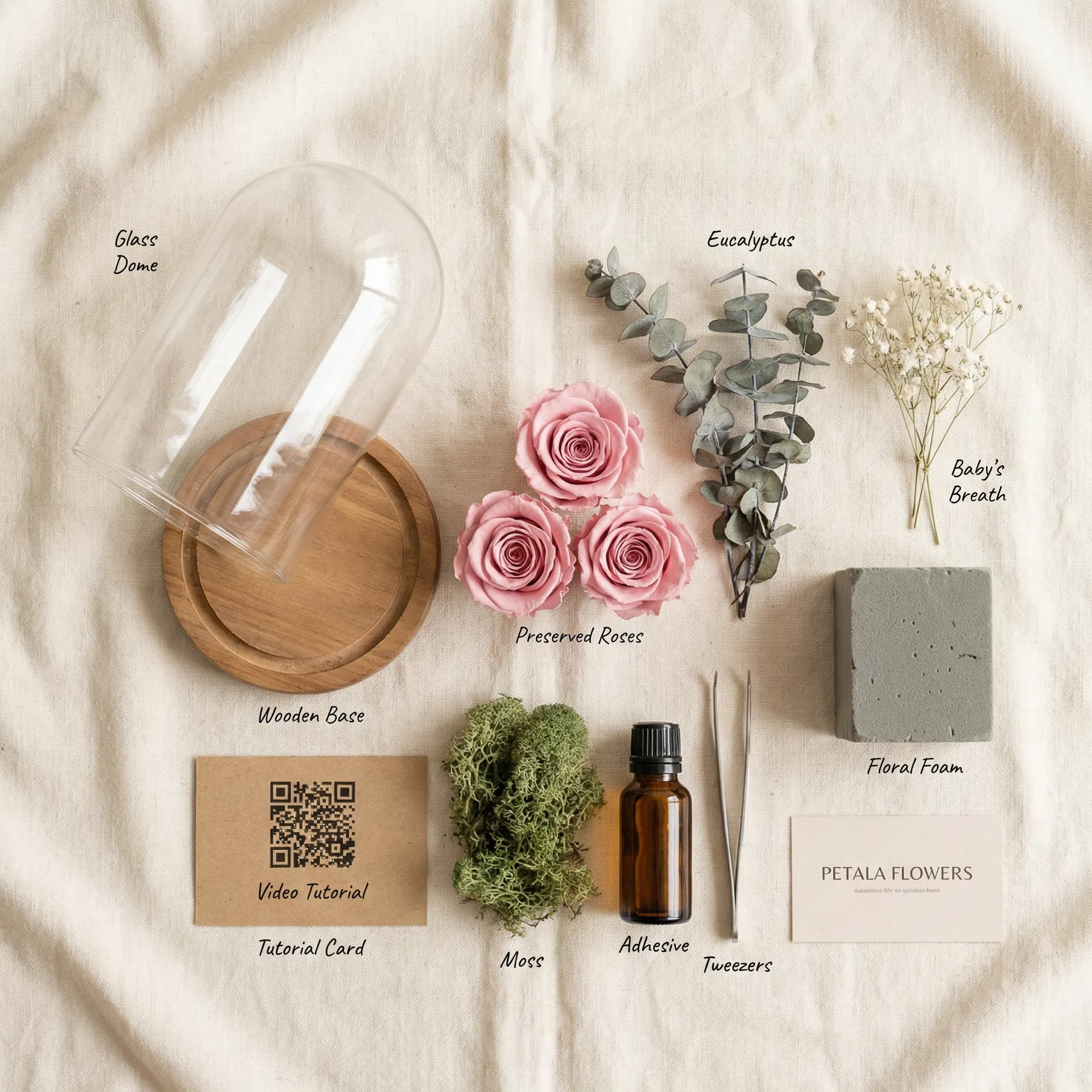 Glass dome kit contents