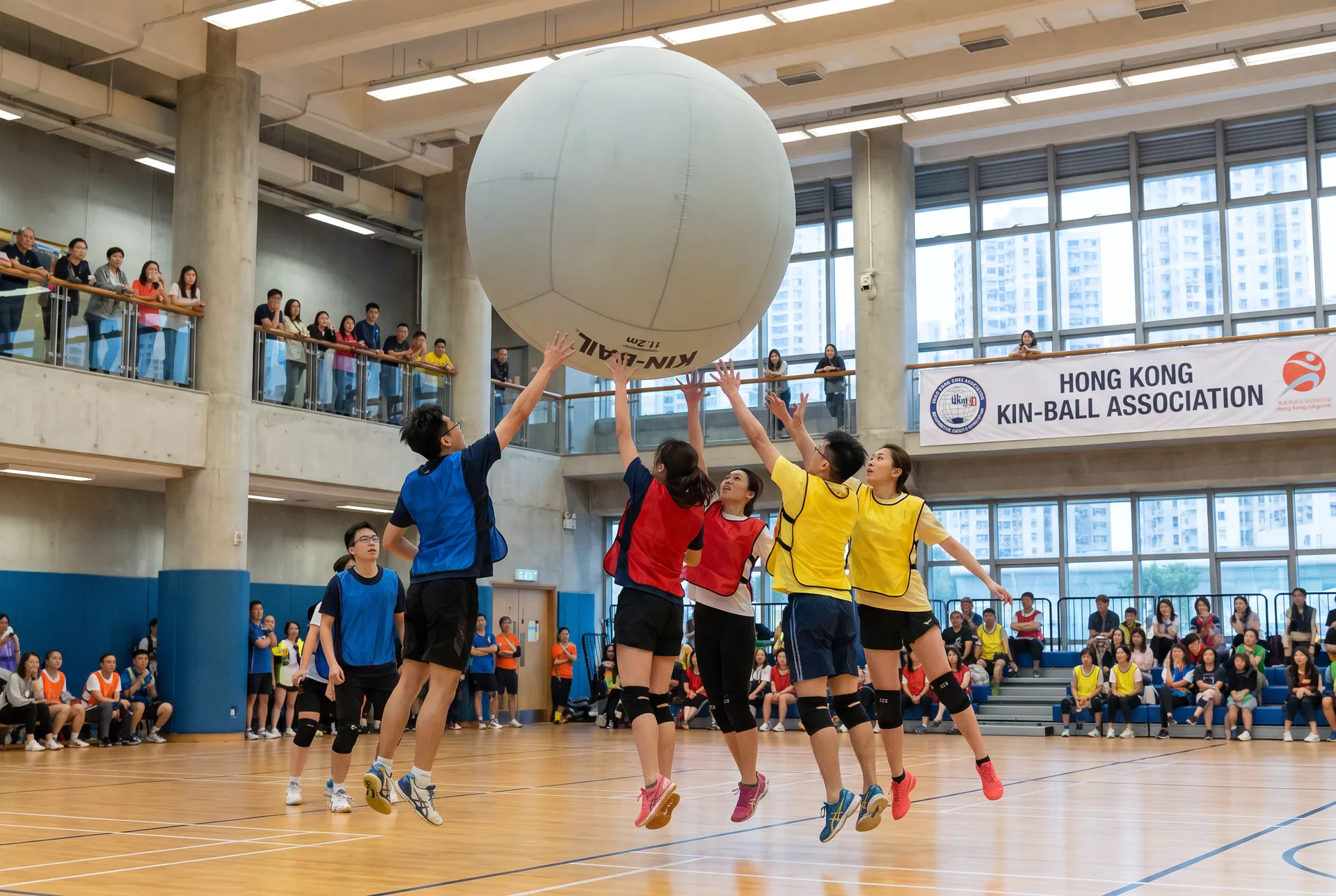 outdoor activities hong kong — classroom moment with adventure camp hk in Hong Kong | FlintHub Academy