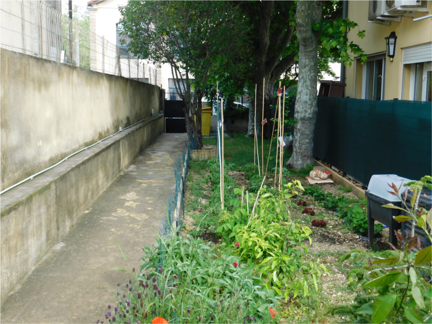 Immeuble - 720 m² - 6 pièces — photo 2