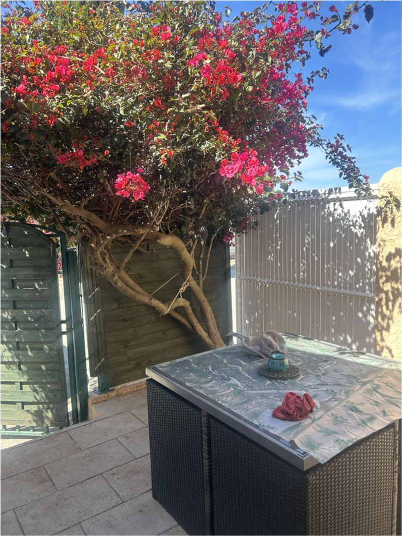 T2 - 50 m² - 2 pièces — photo 5