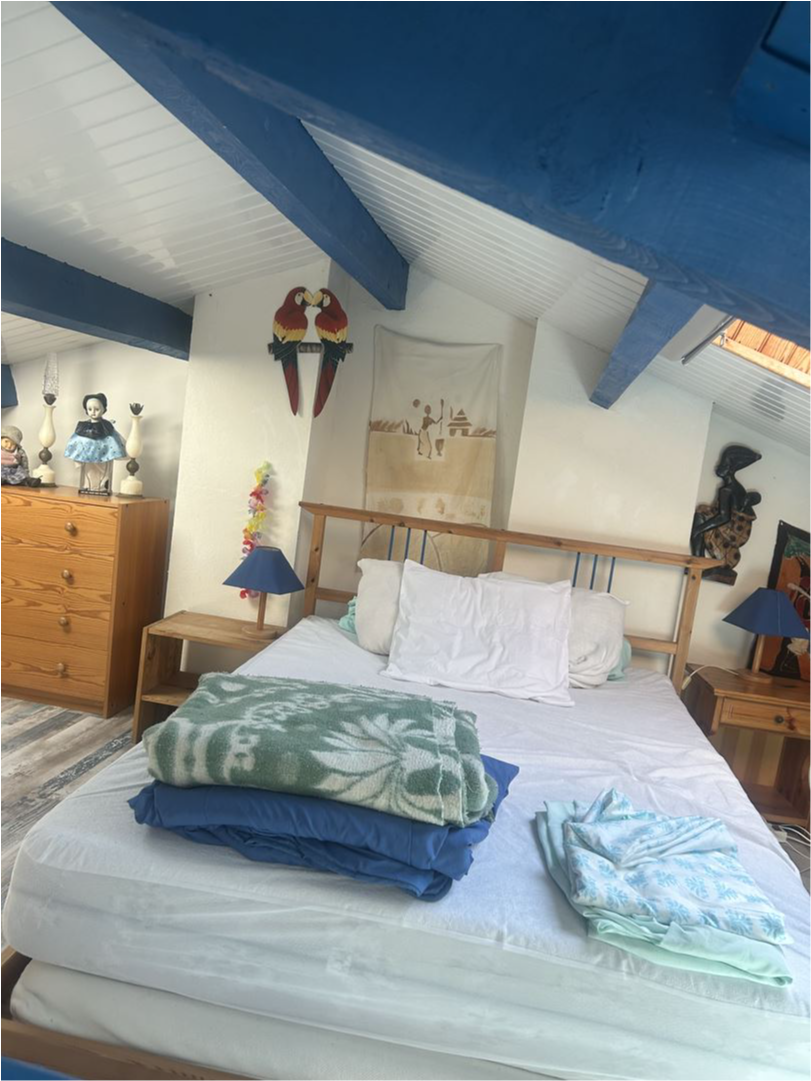 T2 - 50 m² - 2 pièces — photo 2