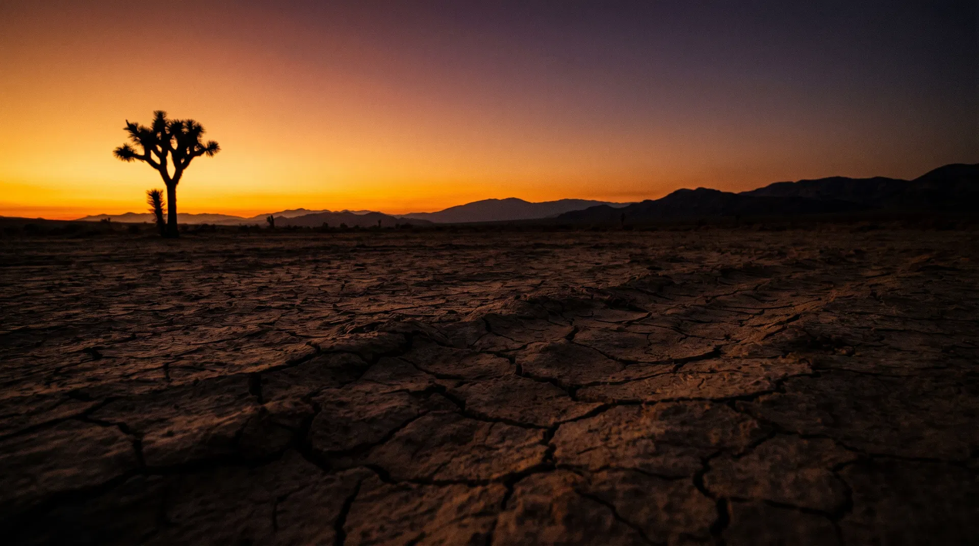 Coachella Valley desert at golden hour