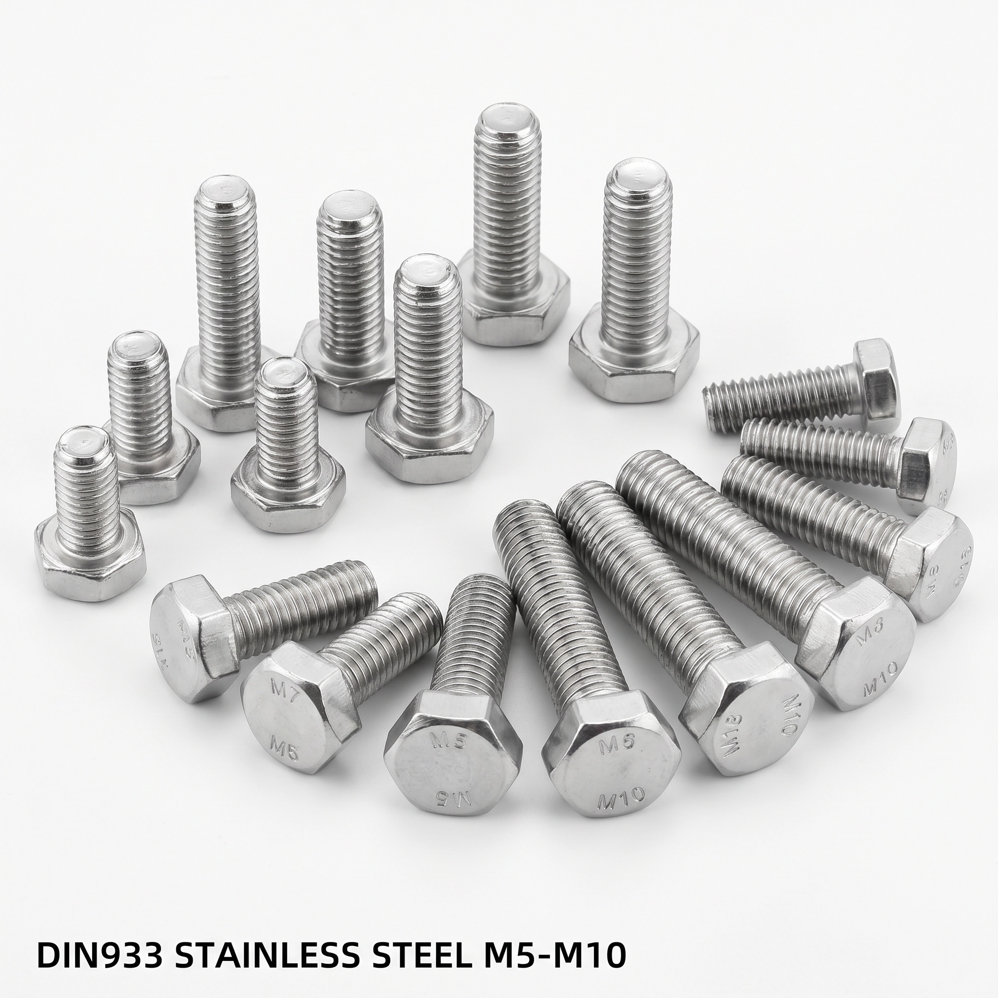 六角頭螺絲（小規格）316 M10 × 100