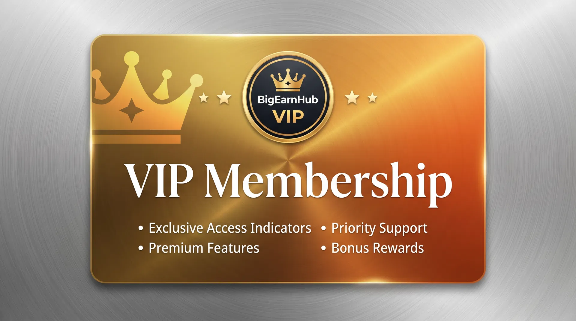 BigEarnHub VIP - Monthly Membership