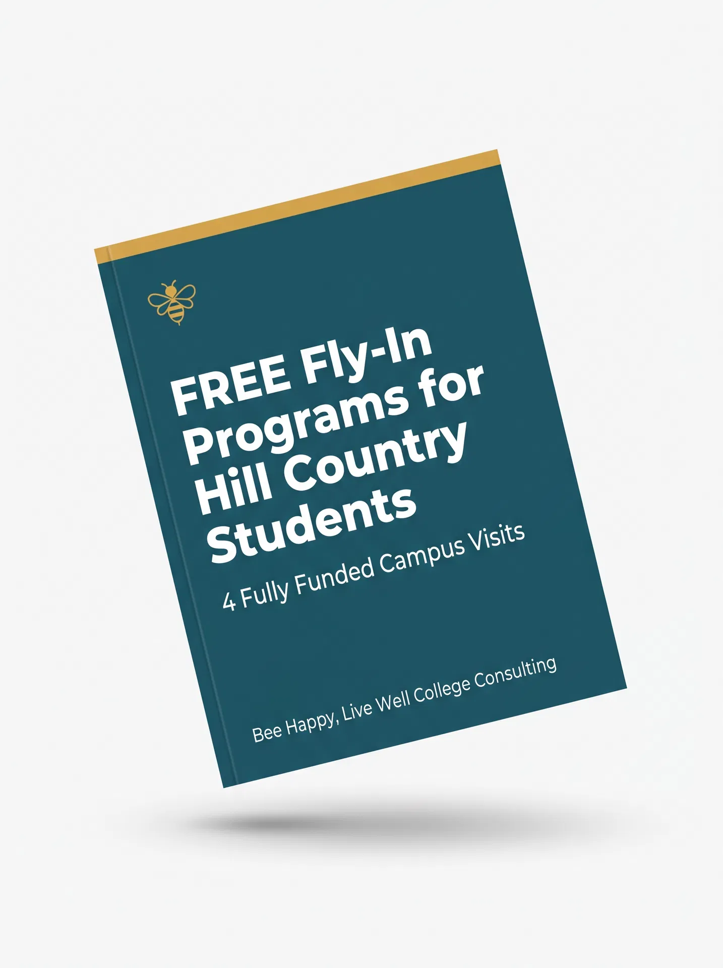 Free Fly-In Programs Guide PDF