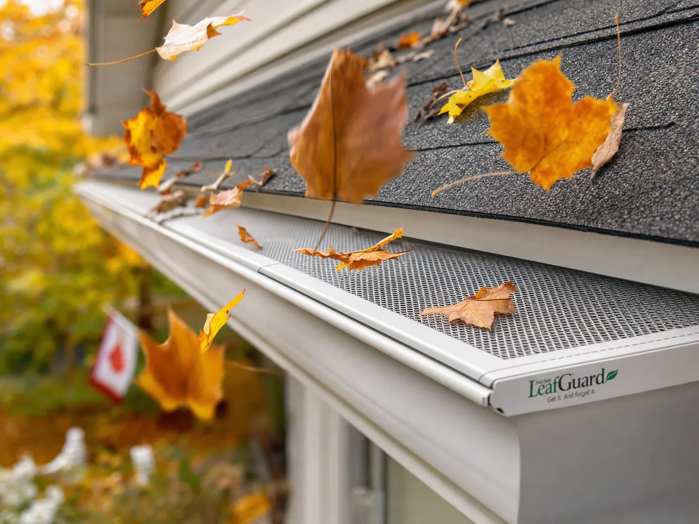 Leaf Guard & Protection Systems