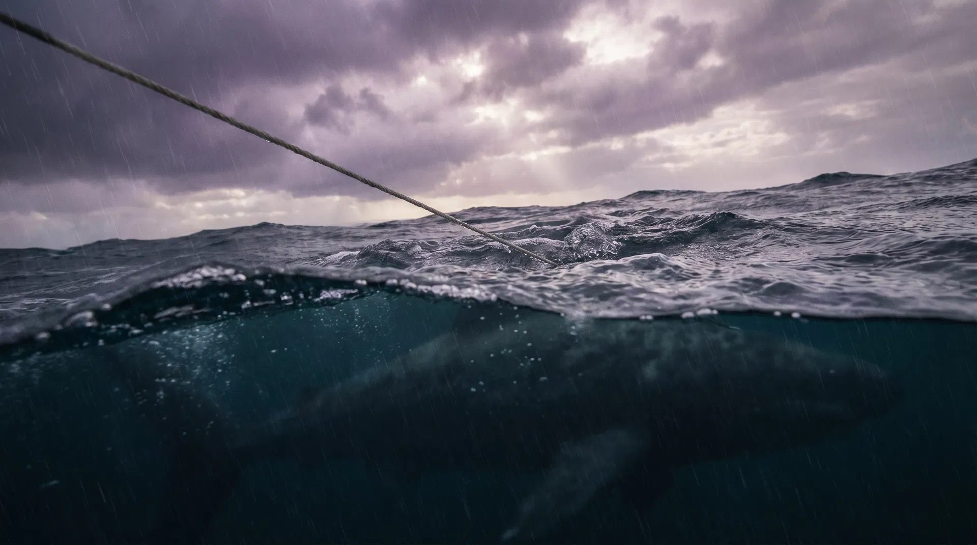 We Had Something HUGE on Our Line