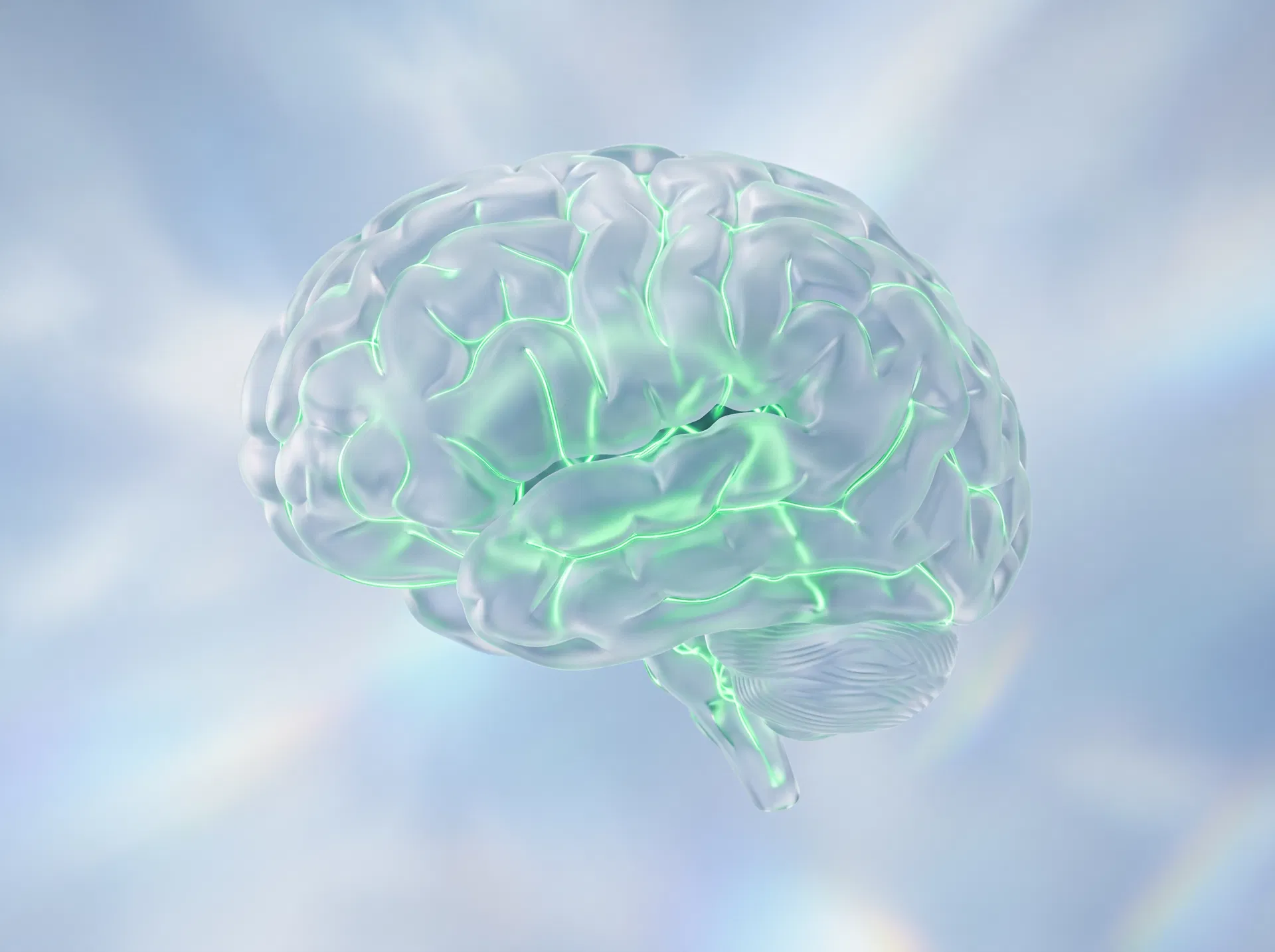 Neural network visualization