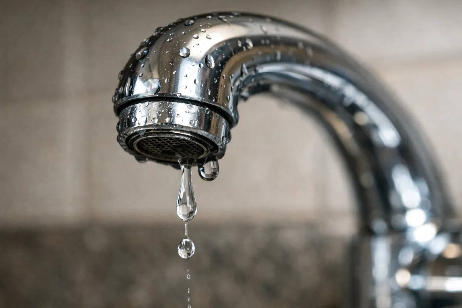 Leaky kitchen faucet needing minor plumbing repair in Mary Esther FL